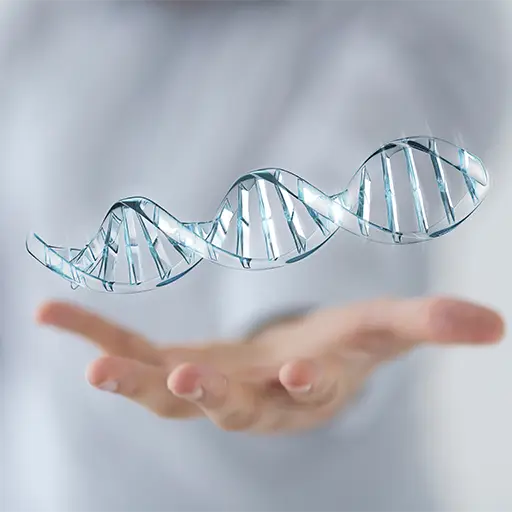 Orthomolekularmedizin 3 Orthomolekularmedizin